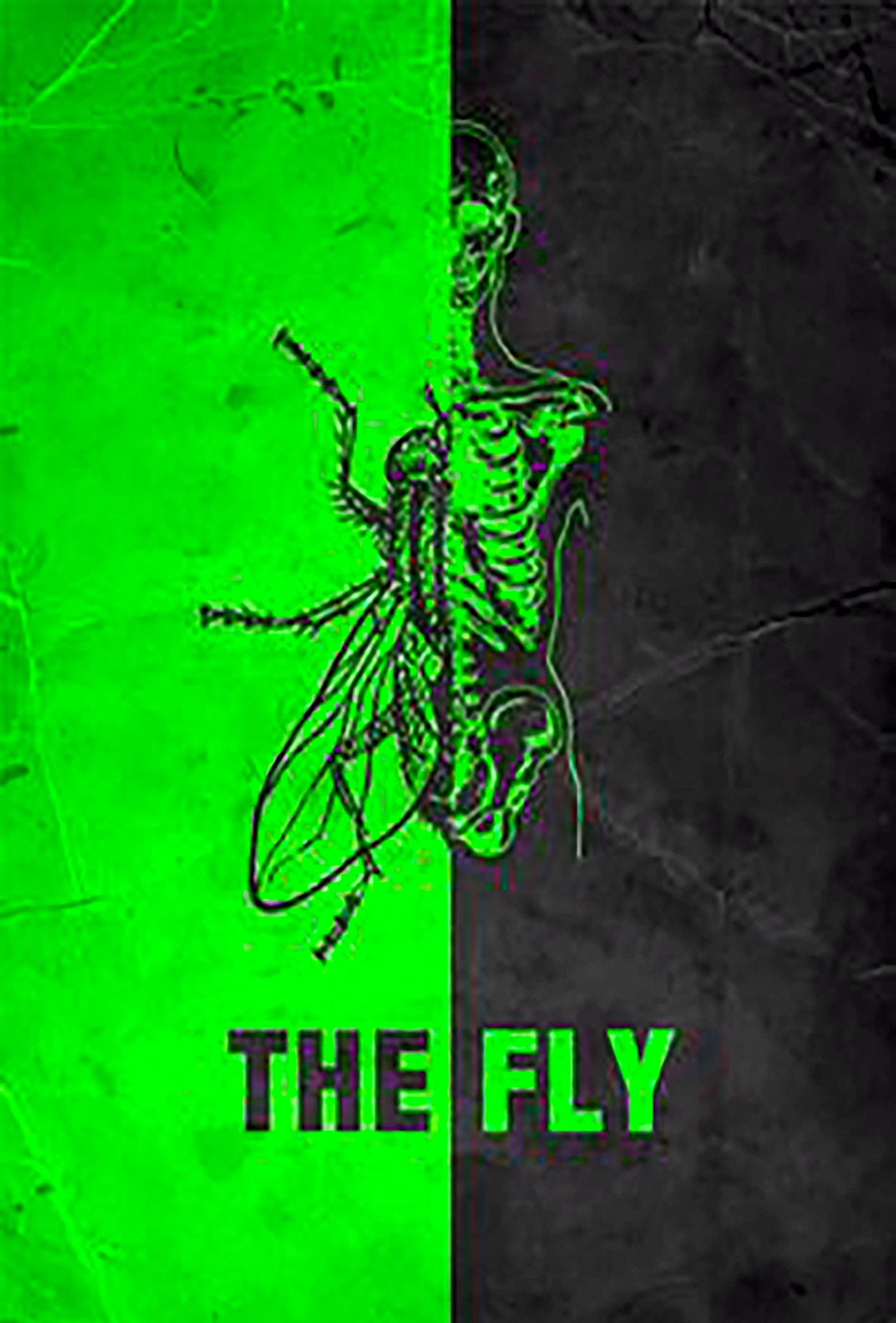 The Fly Jigsaw Puzzles 150pcs Boxed Assorted