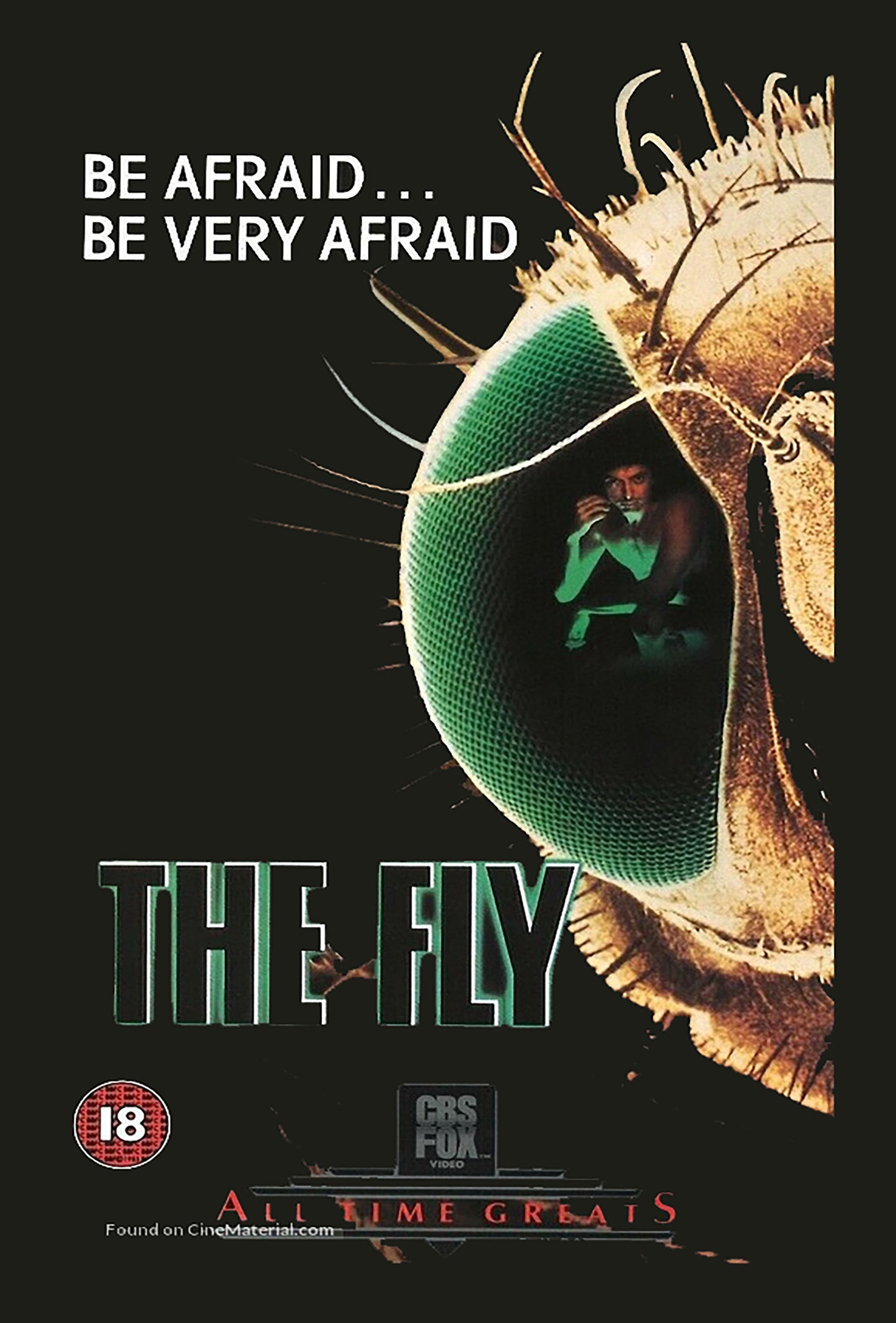 The Fly Jigsaw Puzzles 150pcs Boxed Assorted