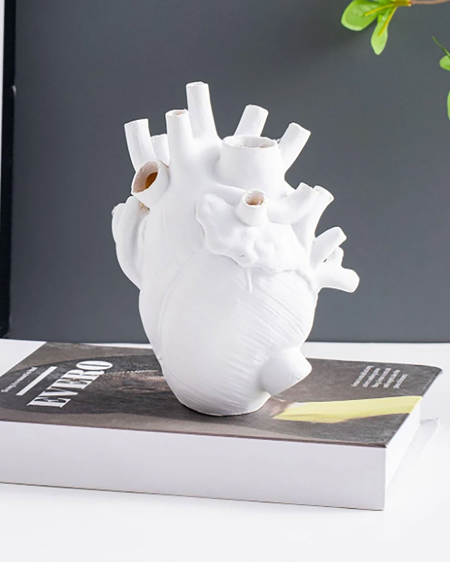 Anatomical Heart-Shaped Resin Vase (Vase Only)