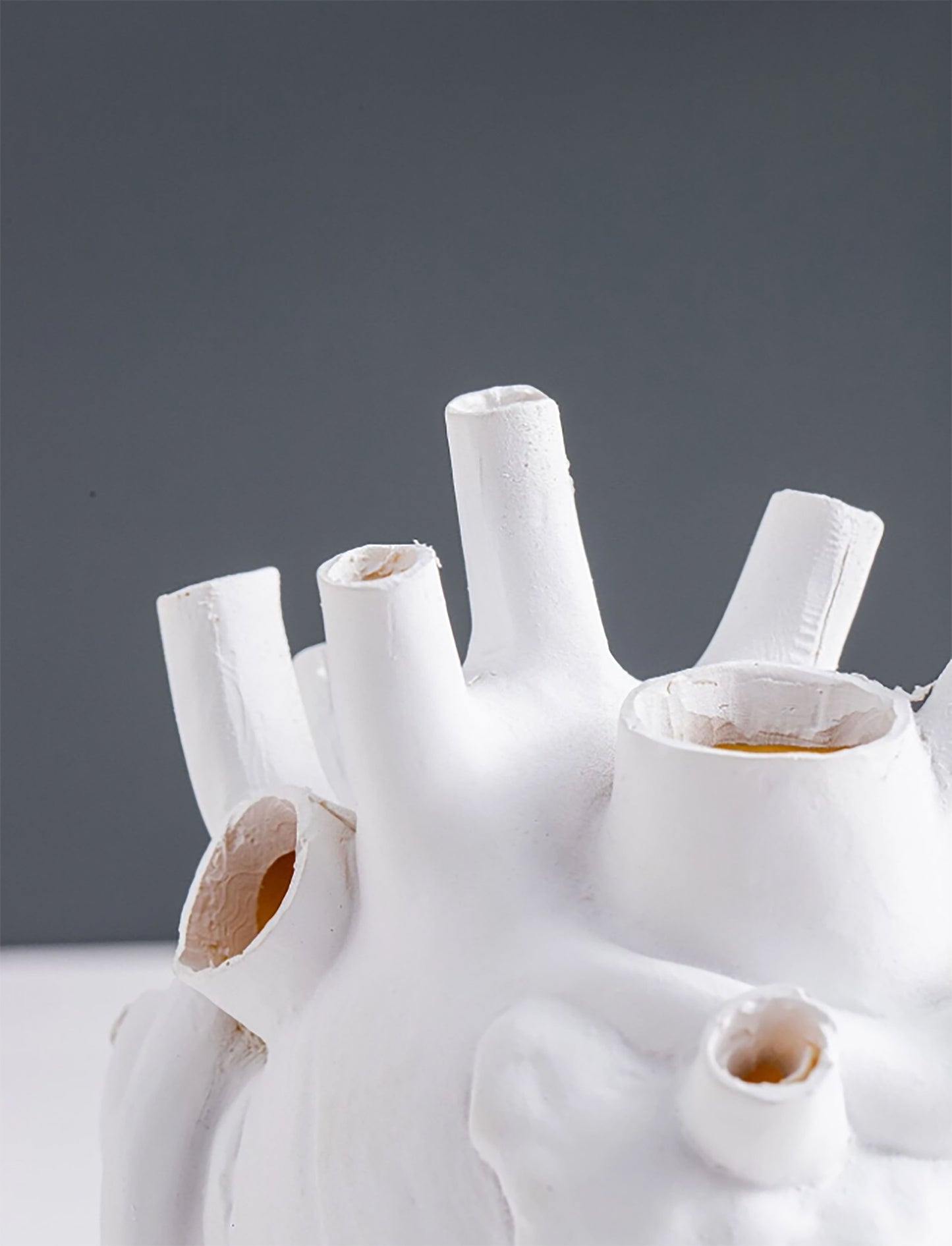 Anatomical Heart-Shaped Resin Vase (Vase Only)